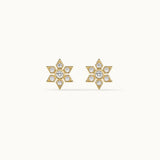 Narcissus Small Diamond Earrings, 14K Gold Vermeil, 1/5 ct Lab Grown Diamond-8