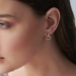 Twisted Round Diamond Earrings, 14K Gold Vermeil, 1/20 ct Lab Grown Diamond-5