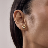 Golden Paw Diamond Studs
