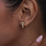 Two Row Frosted Diamond Earrings